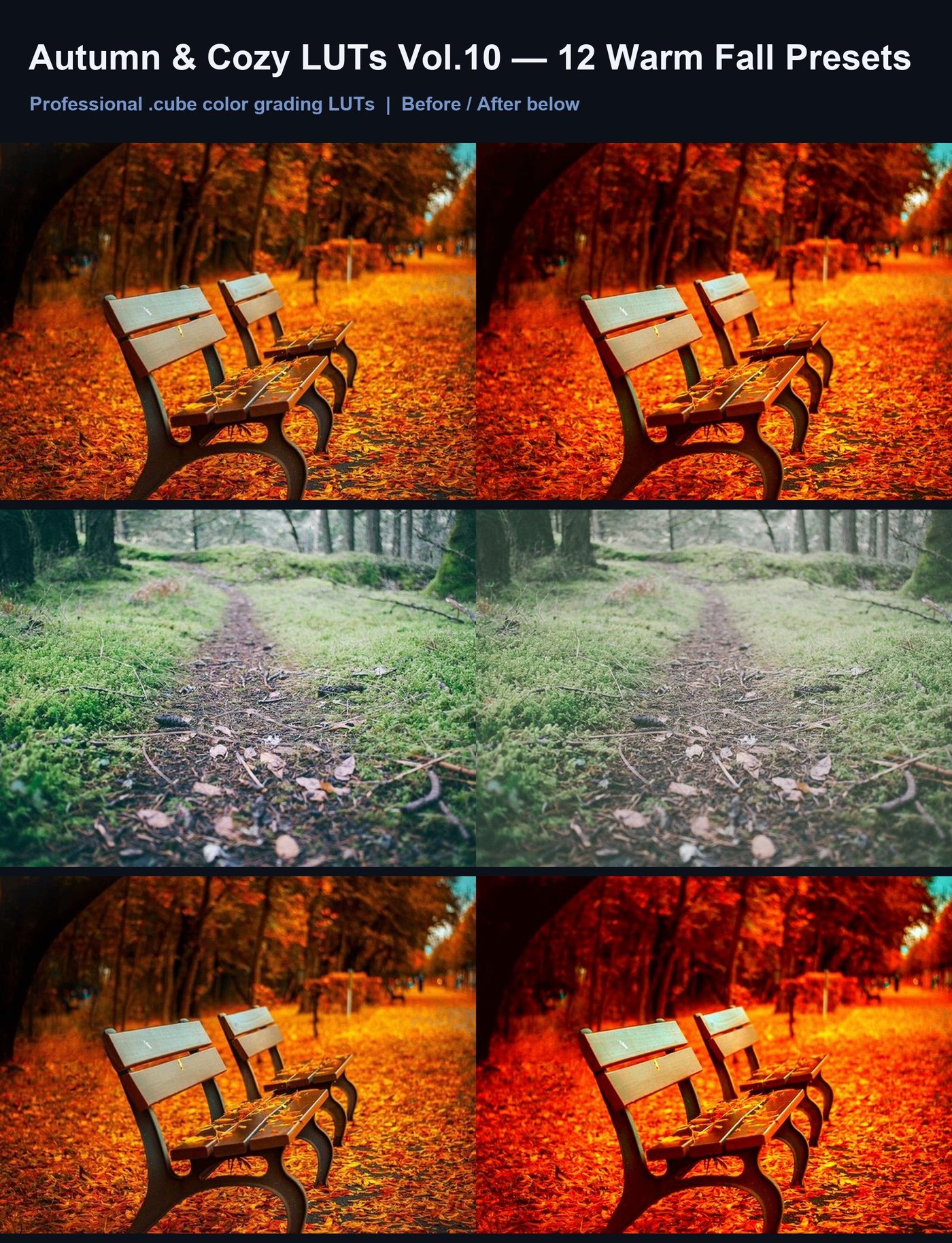 Autumn & Cozy LUTs Vol.10 — 12 Warm Fall Presets