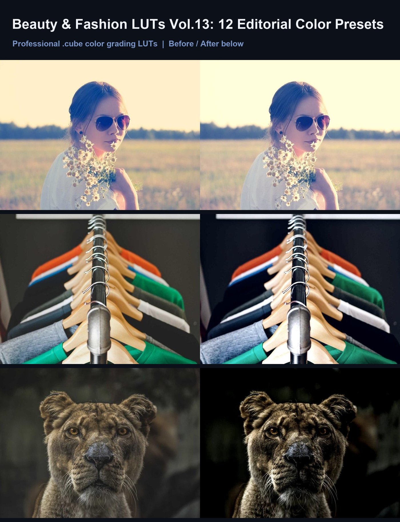 Beauty & Fashion LUTs Vol.13: 12 Editorial Color Presets