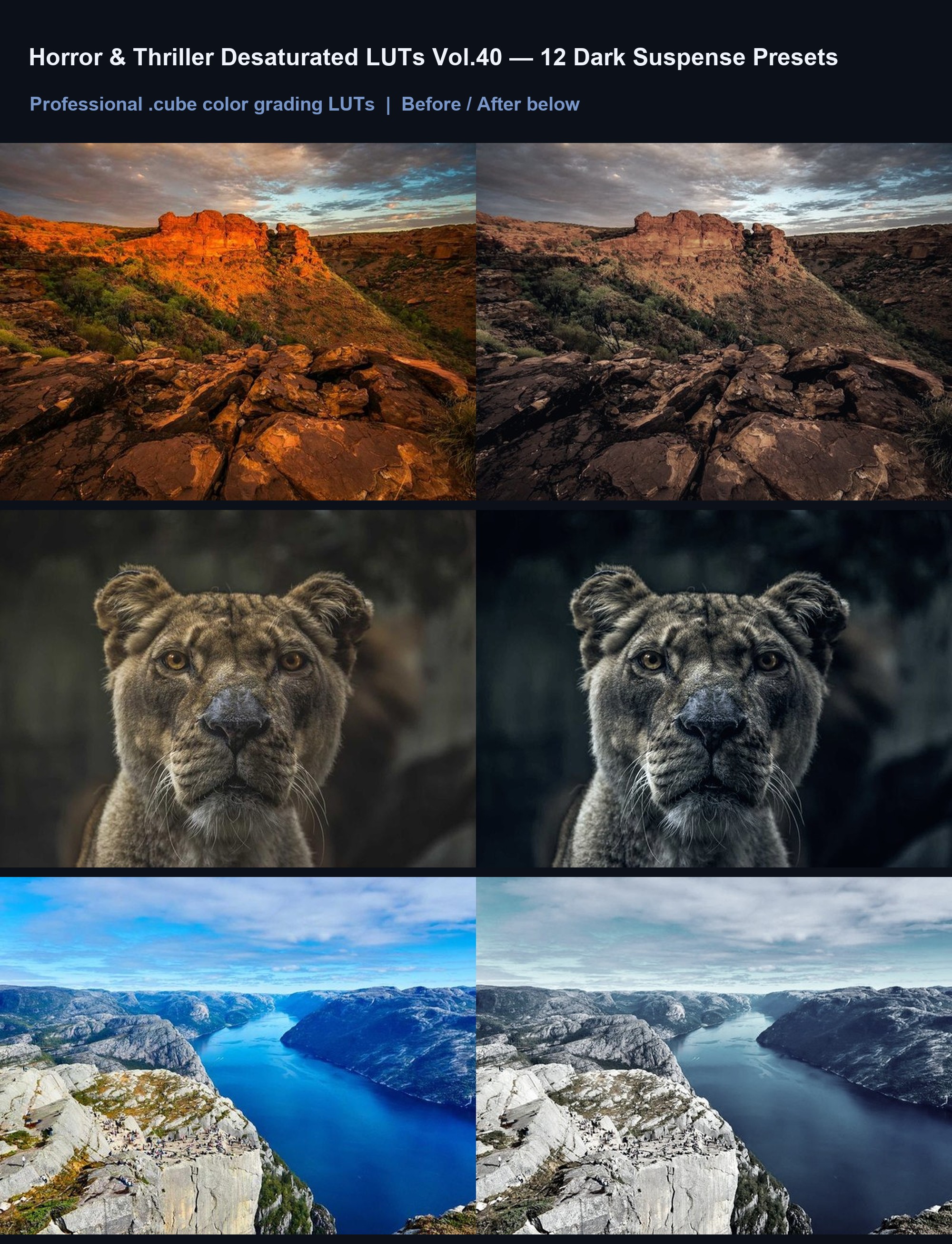Horror & Thriller Desaturated LUTs Vol.40 — 12 Dark Presets