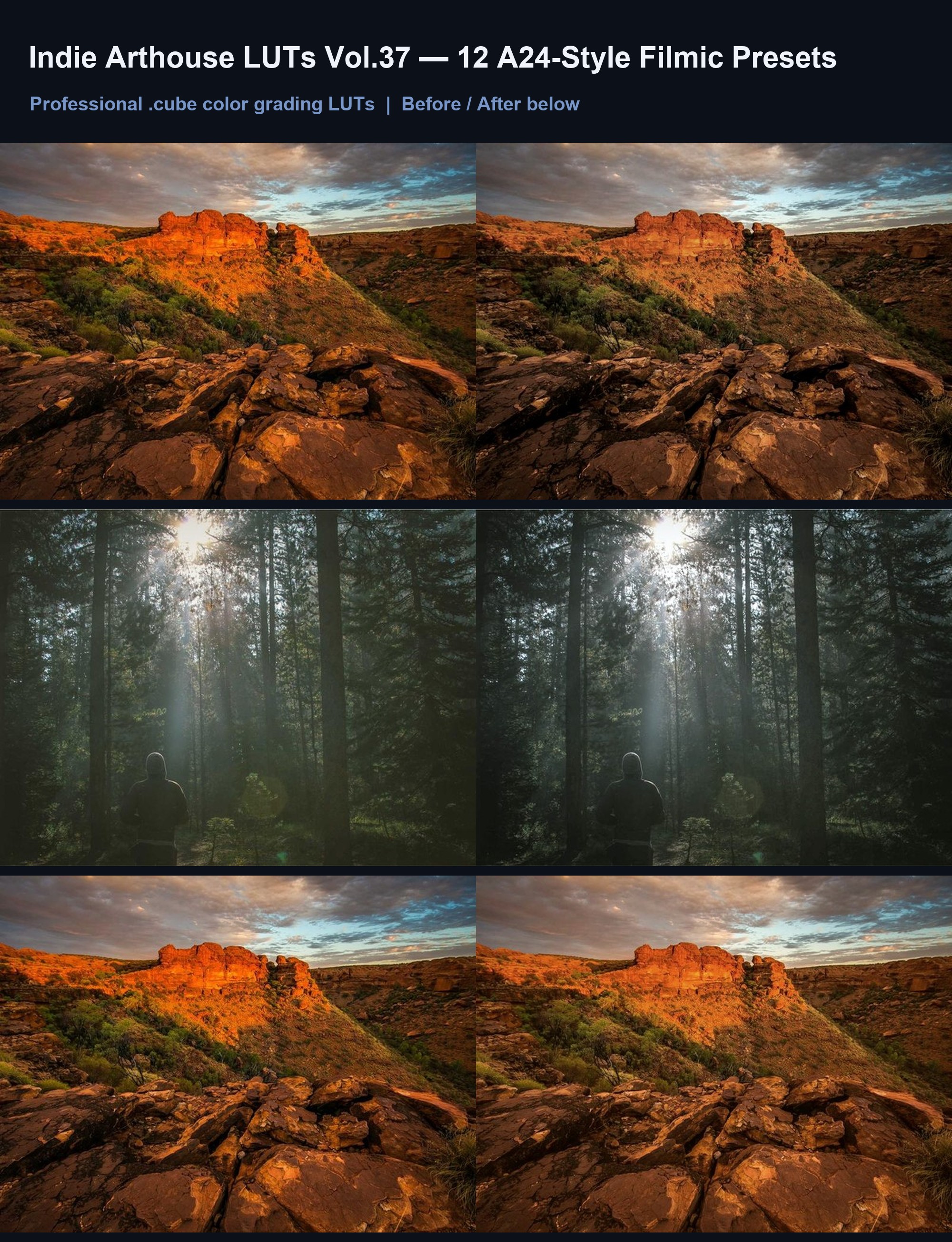 Indie Arthouse LUTs Vol.37: 12 A24-Style Filmic Presets