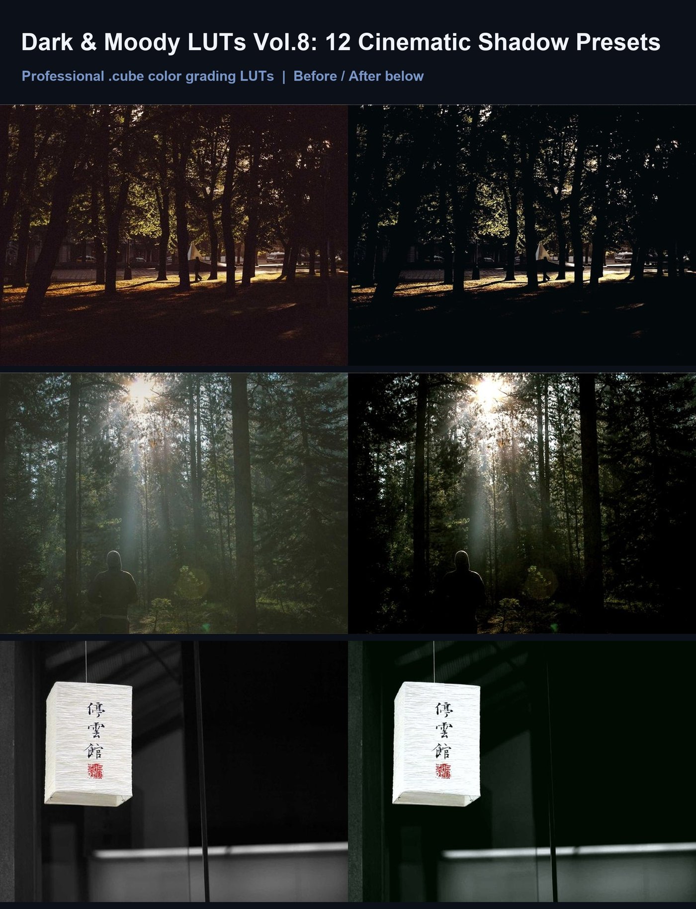 Dark & Moody LUTs Vol.8: 12 Cinematic Shadow Presets