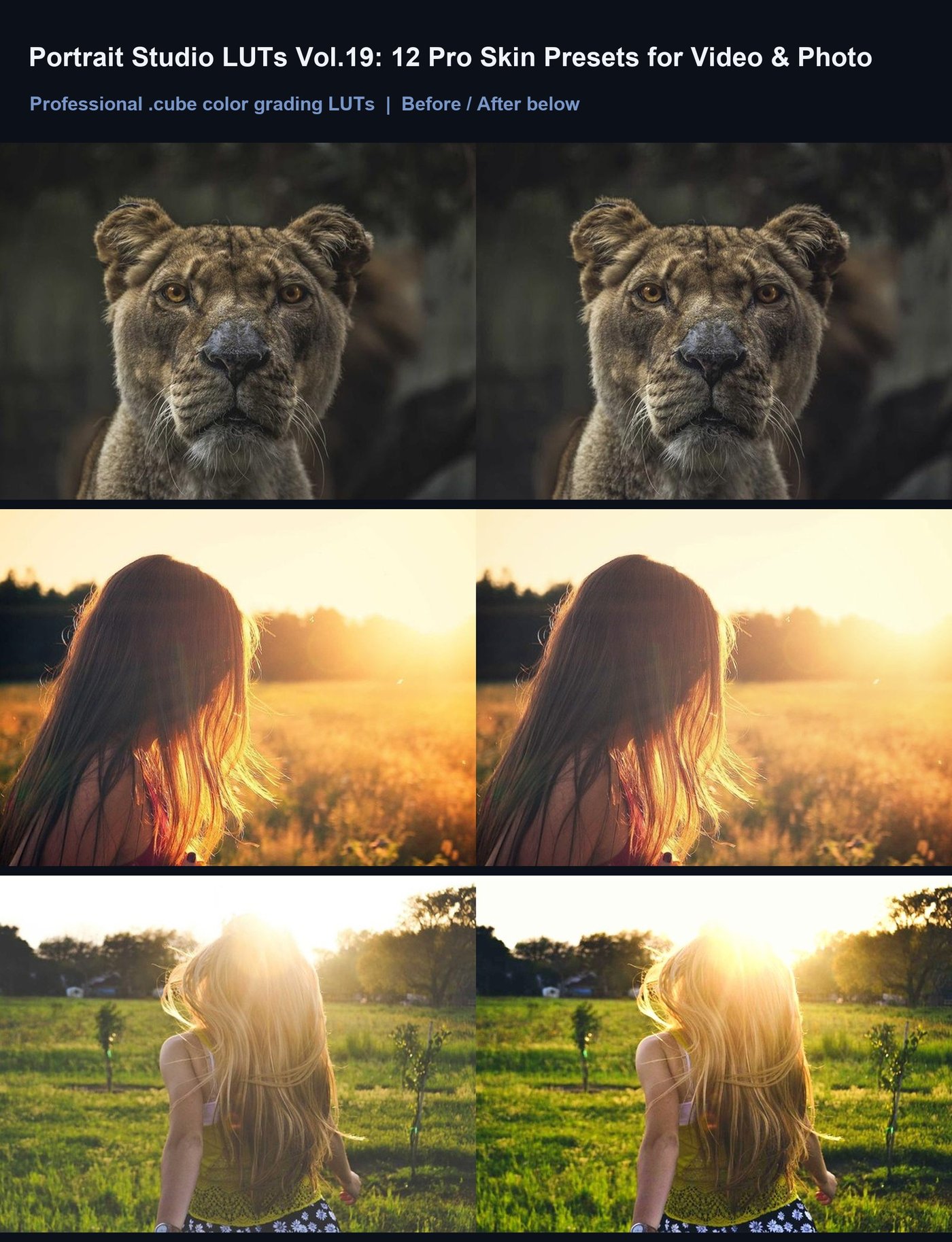 Portrait Studio LUTs Vol.19: 12 Pro Skin Presets for Video & Photo