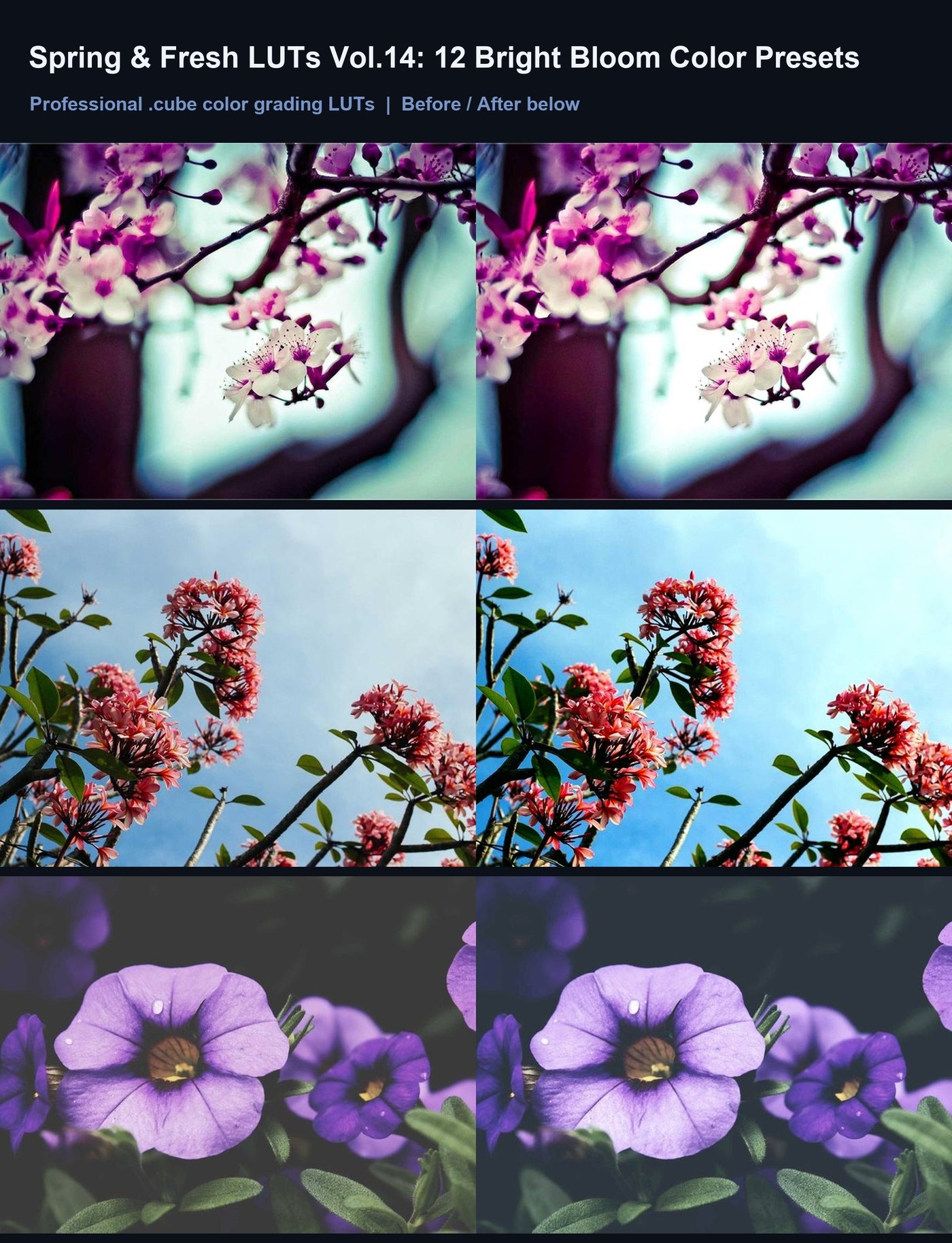 Spring & Fresh LUTs Vol.14: 12 Bright Bloom Color Presets