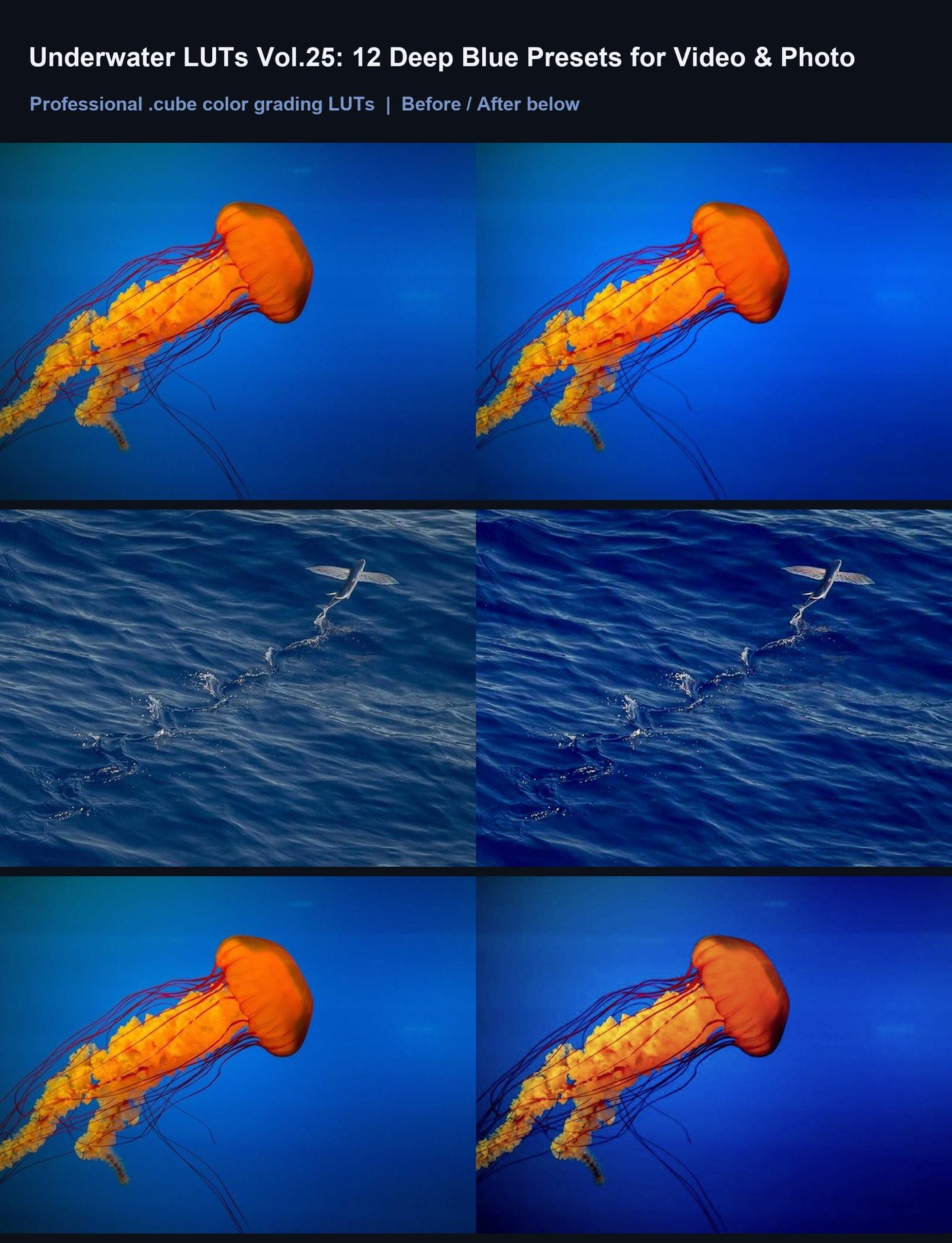 Underwater LUTs Vol.25: 12 Deep Blue Presets for Video & Photo