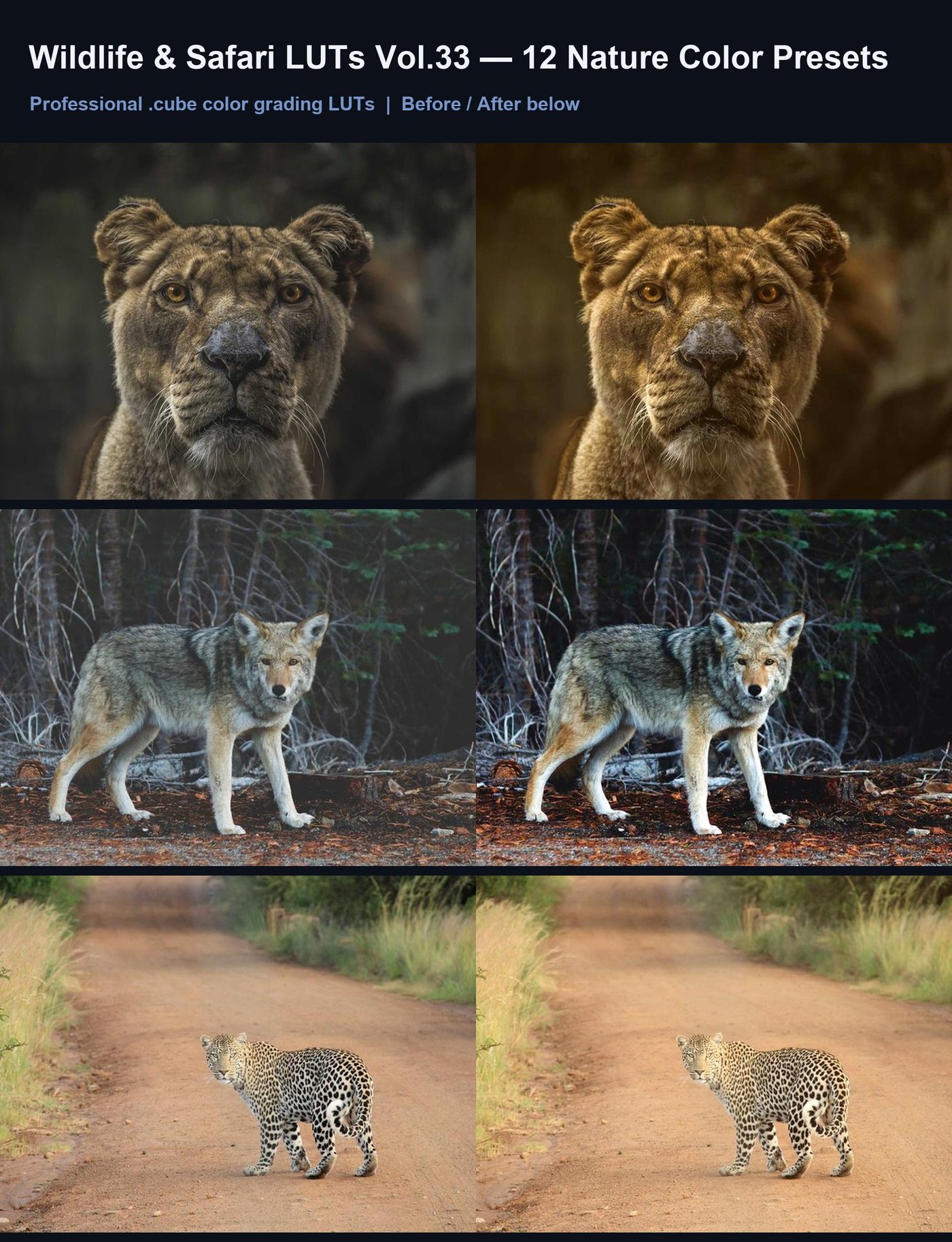 Wildlife & Safari LUTs Vol.33 — 12 Nature Color Presets
