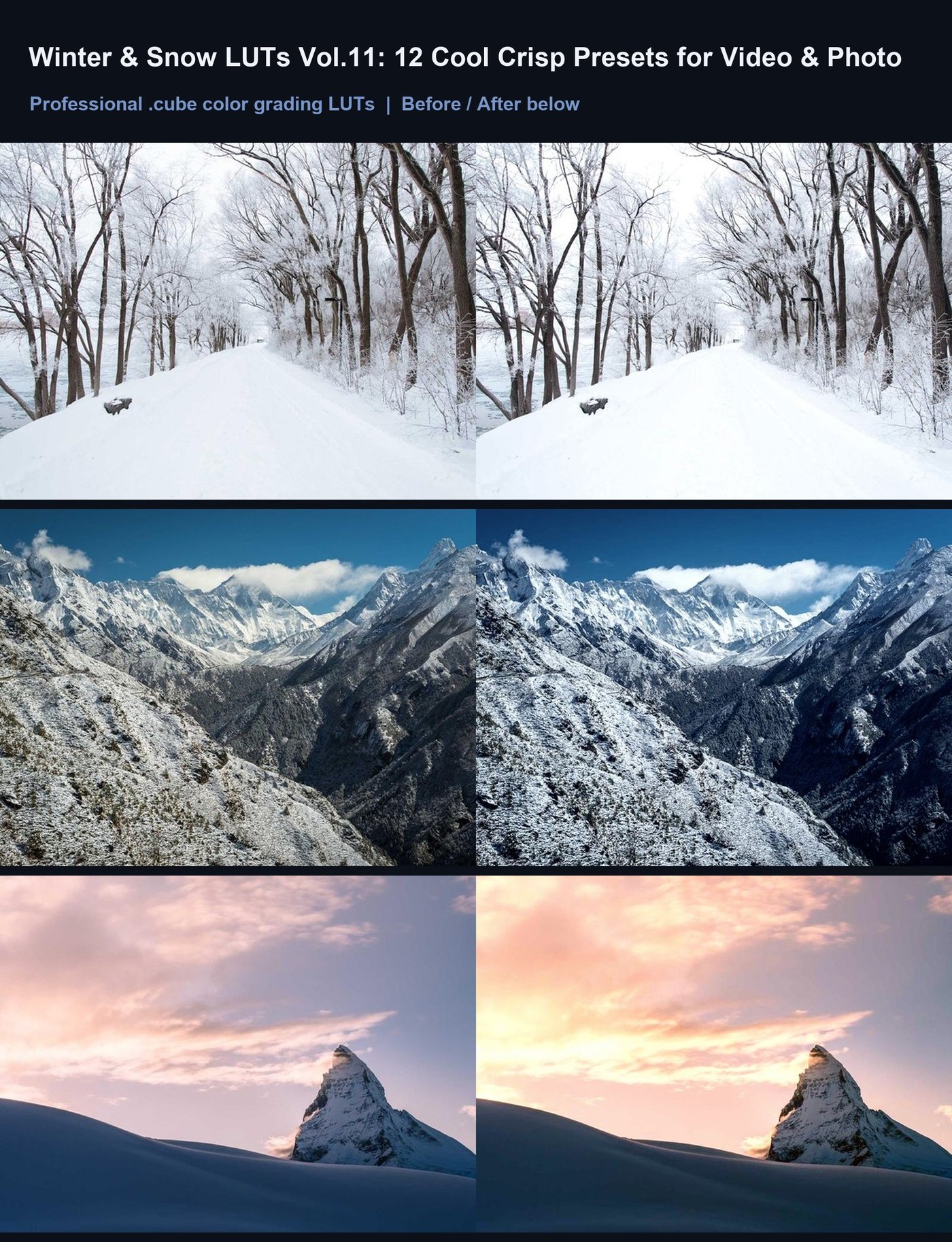 Winter & Snow LUTs Vol.11: 12 Cool Crisp Presets for Video & Photo